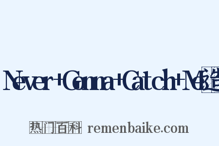 Never+Gonna+Catch+Me造句是什么意思的图片